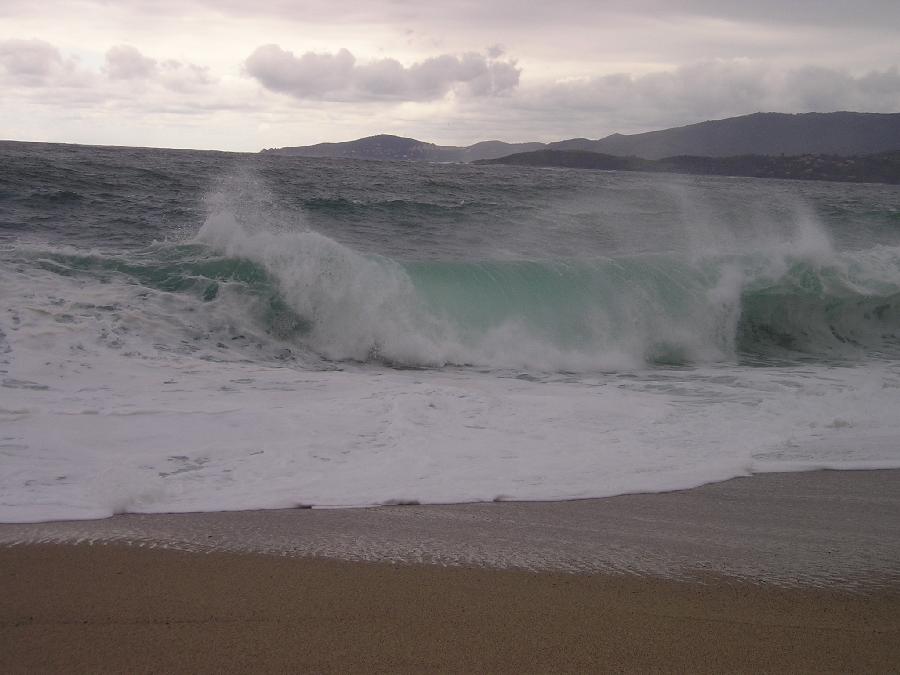 Grandes vagues sur la plage.